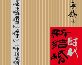 王海鸰原著小说《新结婚时代》