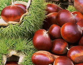 早晚吃生板栗可补肾